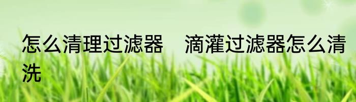 怎么清理过滤器　滴灌过滤器怎么清洗