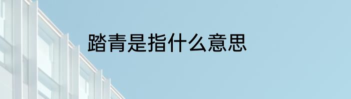 踏青是指什么意思