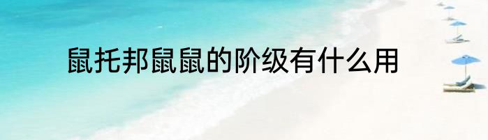 鼠托邦鼠鼠的阶级有什么用