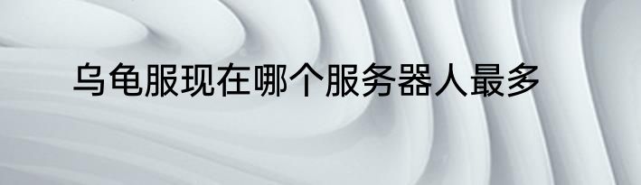 乌龟服现在哪个服务器人最多