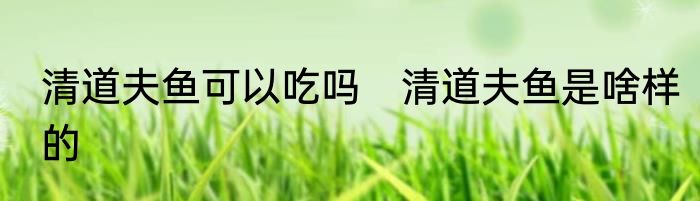 清道夫鱼可以吃吗　清道夫鱼是啥样的