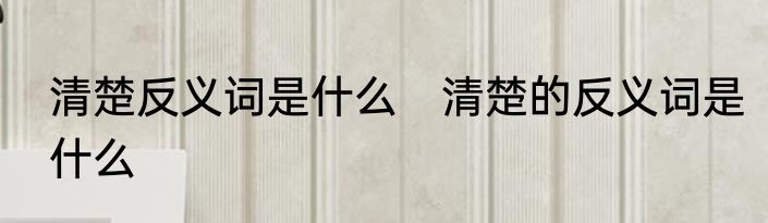 清楚反义词是什么　清楚的反义词是什么