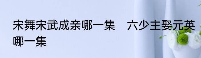 宋舞宋武成亲哪一集　六少主娶元英哪一集