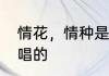情花，情种是什么意思啊　情花多久唱的