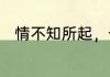 情不知所起，一往而深是什么意思
