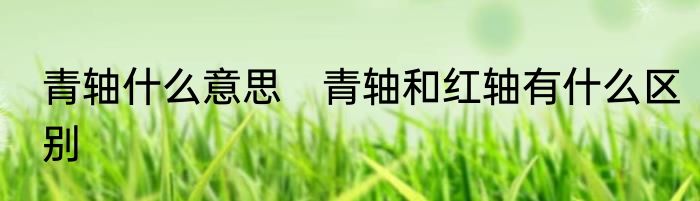 青轴什么意思　青轴和红轴有什么区别