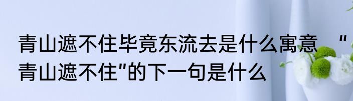 青山遮不住毕竟东流去是什么寓意　“青山遮不住”的下一句是什么