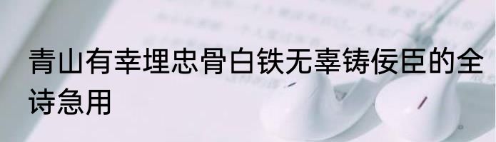 青山有幸埋忠骨白铁无辜铸佞臣的全诗急用
