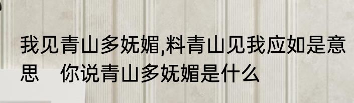 我见青山多妩媚,料青山见我应如是意思　你说青山多妩媚是什么
