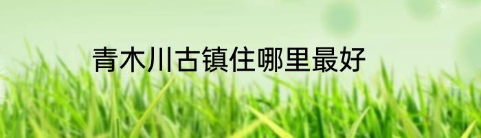 青木川古镇住哪里最好