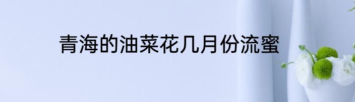 青海的油菜花几月份流蜜