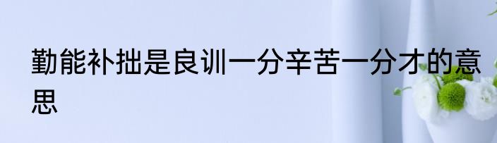 勤能补拙是良训一分辛苦一分才的意思