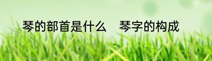 琴的部首是什么　琴字的构成