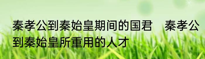 秦孝公到秦始皇期间的国君　秦孝公到秦始皇所重用的人才