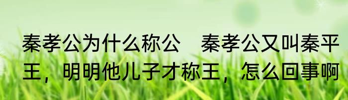 秦孝公为什么称公　秦孝公又叫秦平王，明明他儿子才称王，怎么回事啊