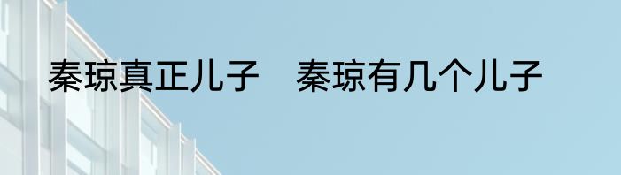 秦琼真正儿子　秦琼有几个儿子