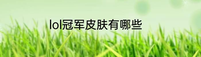 lol冠军皮肤有哪些