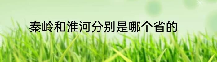 秦岭和淮河分别是哪个省的