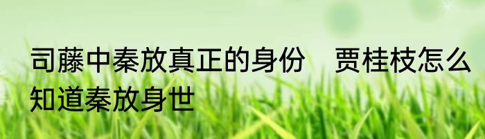 司藤中秦放真正的身份　贾桂枝怎么知道秦放身世