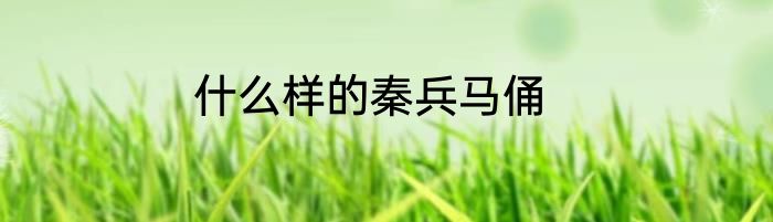 什么样的秦兵马俑