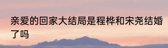 亲爱的回家大结局是程桦和宋尧结婚了吗