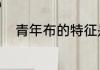 青年布的特征是什么?本名是什么