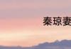 秦琼妻子尉迟贞吗
