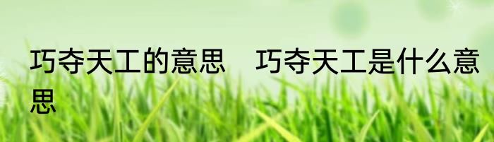 巧夺天工的意思　巧夺天工是什么意思