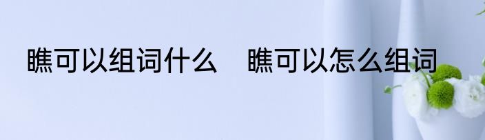 瞧可以组词什么　瞧可以怎么组词