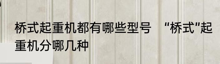 桥式起重机都有哪些型号　“桥式”起重机分哪几种
