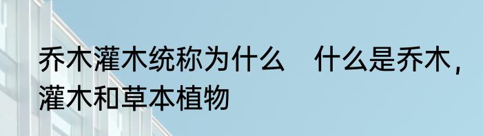 乔木灌木统称为什么　什么是乔木，灌木和草本植物