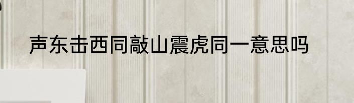 声东击西同敲山震虎同一意思吗