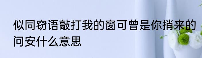 似同窃语敲打我的窗可曾是你捎来的问安什么意思