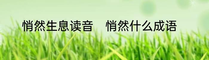 悄然生息读音　悄然什么成语