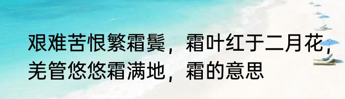 艰难苦恨繁霜鬓，霜叶红于二月花，羌管悠悠霜满地，霜的意思