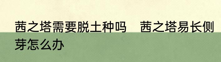 茜之塔需要脱土种吗　茜之塔易长侧芽怎么办