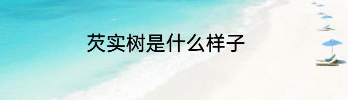 芡实树是什么样子