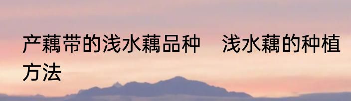 产藕带的浅水藕品种　浅水藕的种植方法