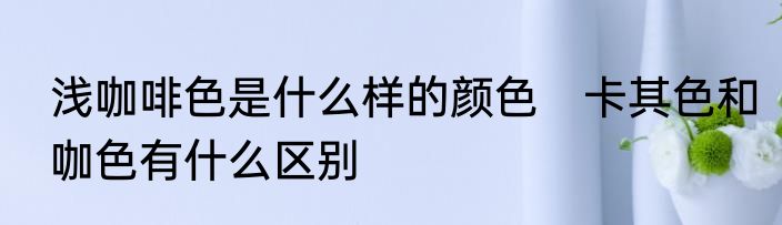 浅咖啡色是什么样的颜色　卡其色和咖色有什么区别