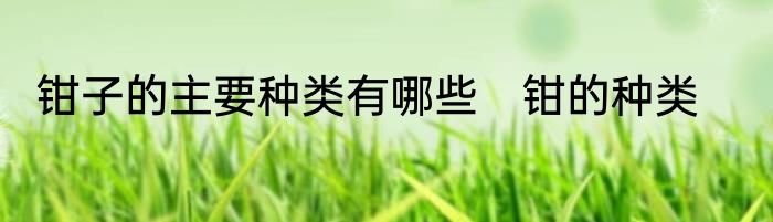 钳子的主要种类有哪些　钳的种类