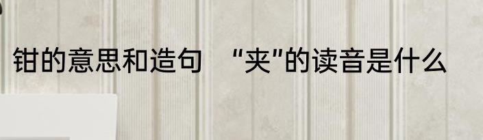 钳的意思和造句　“夹”的读音是什么