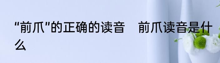 “前爪”的正确的读音　前爪读音是什么