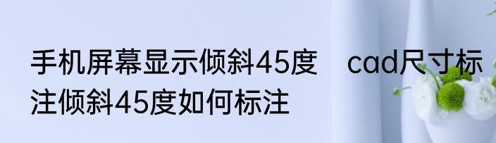 手机屏幕显示倾斜45度　cad尺寸标注倾斜45度如何标注