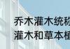 乔木灌木统称为什么　什么是乔木，灌木和草本植物