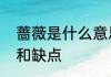 蔷薇是什么意思　蔷薇花有什么优点和缺点
