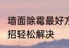 墙面除霉最好方法　墙壁发霉6个小妙招轻松解决