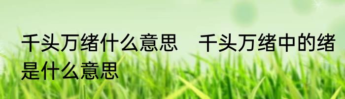 千头万绪什么意思　千头万绪中的绪是什么意思