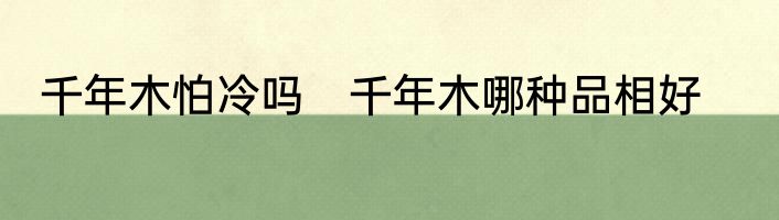 千年木怕冷吗　千年木哪种品相好