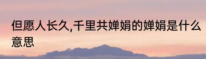 但愿人长久,千里共婵娟的婵娟是什么意思