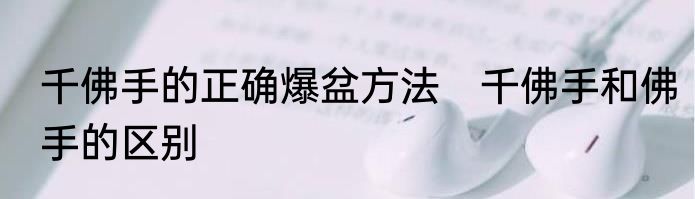 千佛手的正确爆盆方法　千佛手和佛手的区别